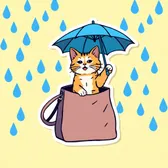 Idioms