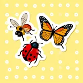 Insects